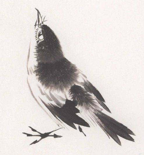 国画麻雀的画法步骤