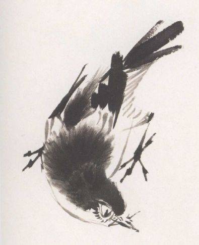 国画麻雀的画法步骤