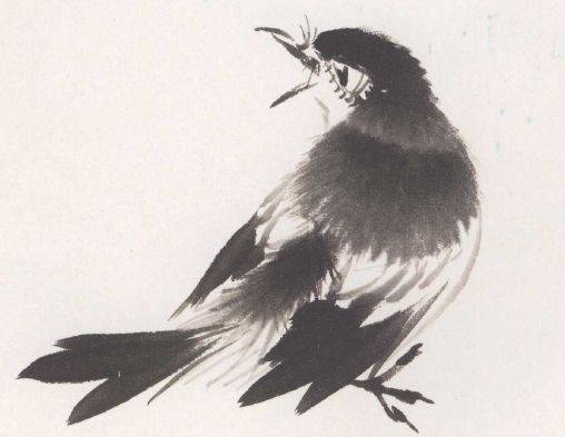 国画麻雀的画法步骤