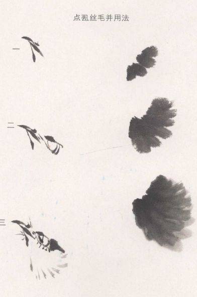 国画麻雀的画法步骤