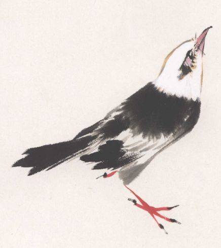 国画麻雀的画法步骤