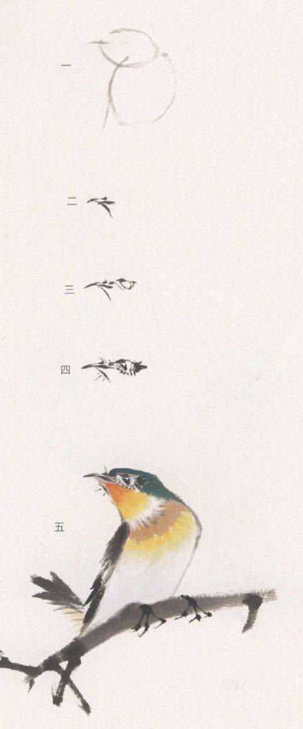 国画麻雀的画法步骤