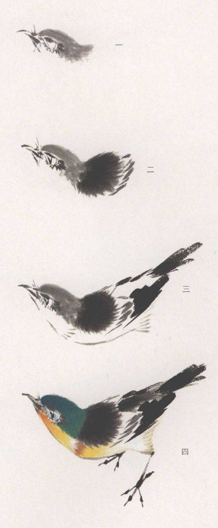 国画麻雀的画法步骤