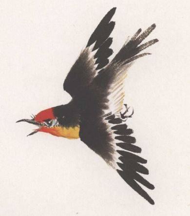 国画麻雀的画法步骤