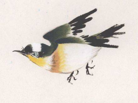 国画麻雀的画法步骤