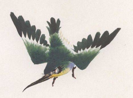 国画麻雀的画法步骤