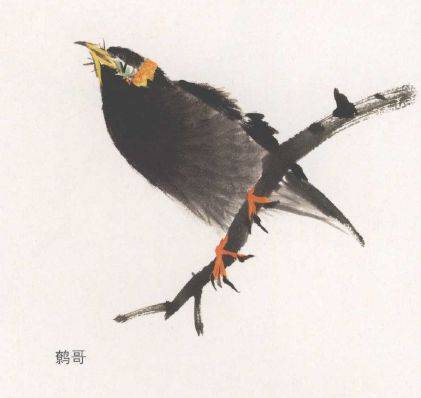 国画麻雀的画法步骤