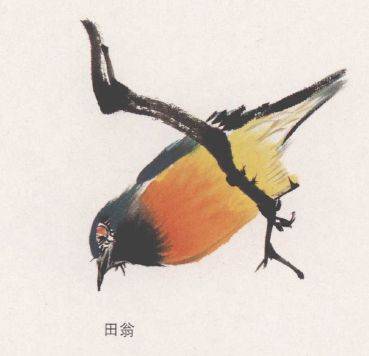 国画麻雀的画法步骤