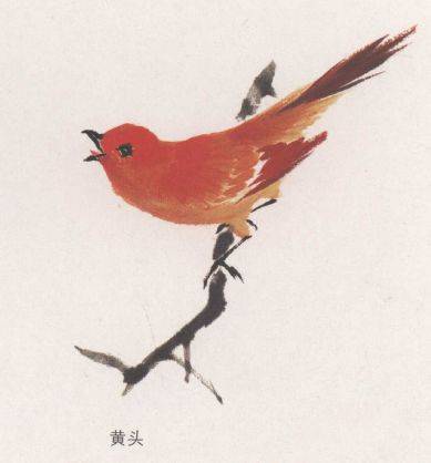 国画麻雀的画法步骤