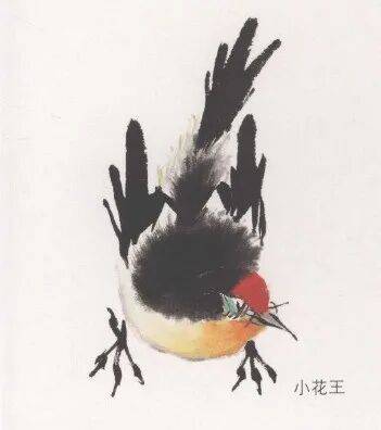 国画麻雀的画法步骤