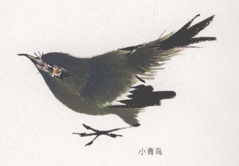 国画麻雀的画法步骤