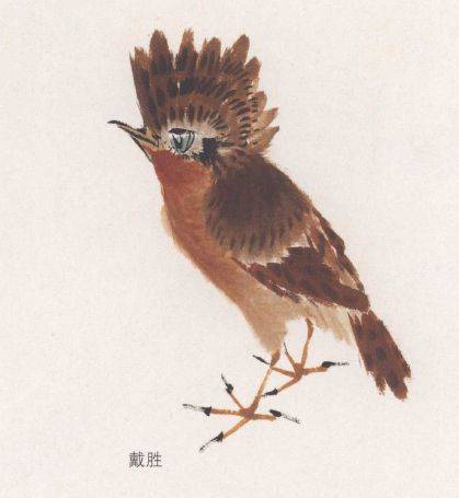 国画麻雀的画法步骤