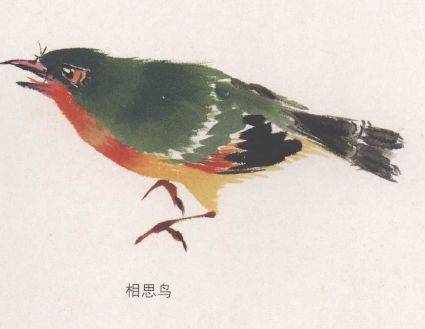 国画麻雀的画法步骤