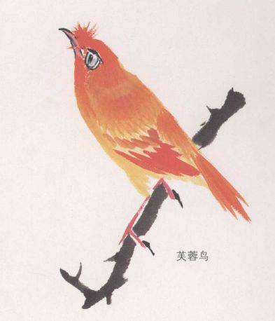 国画麻雀的画法步骤