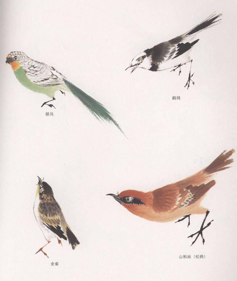 国画麻雀的画法步骤