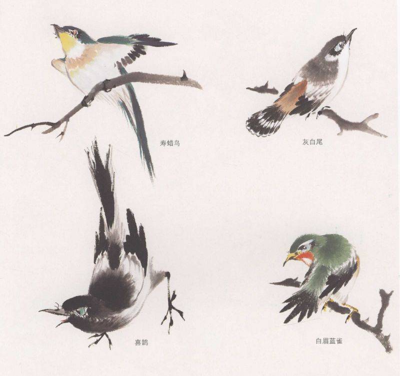 国画麻雀的画法步骤