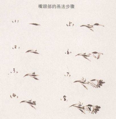 国画麻雀的画法步骤