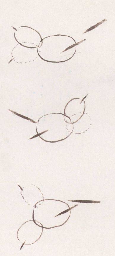 国画麻雀的画法步骤