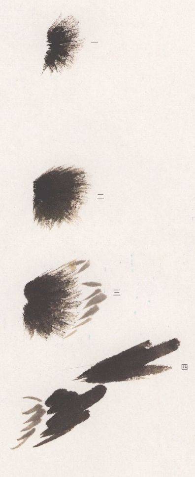 国画麻雀的画法步骤