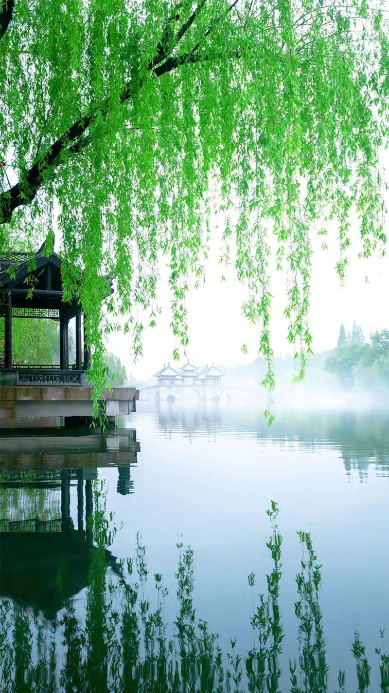 A fast-track website ranking promotion tool