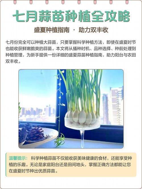 Video on garlic seeding techniques