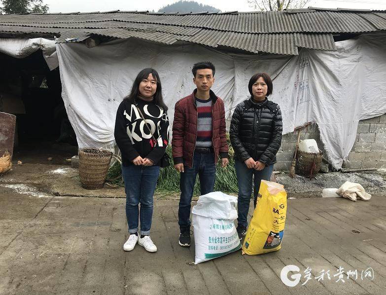 Technology for ryegrass cultivation