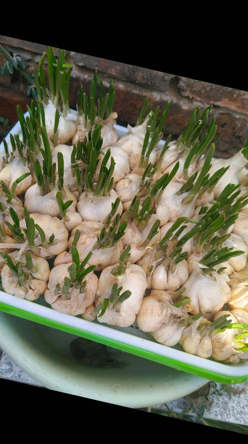 It's not harmful to me