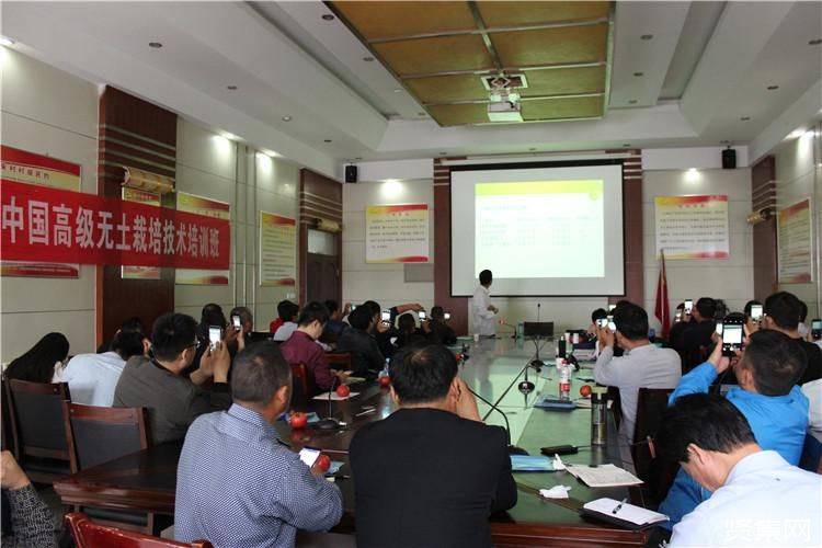 寿光有机蔬菜种植技术