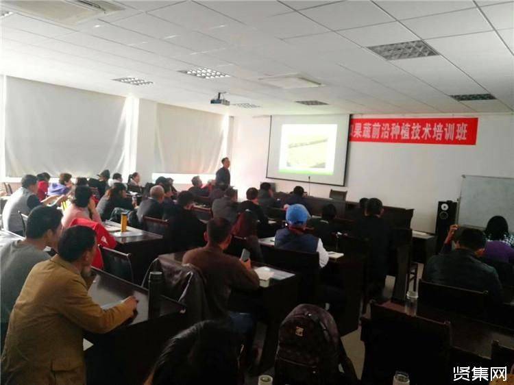 寿光有机蔬菜种植技术