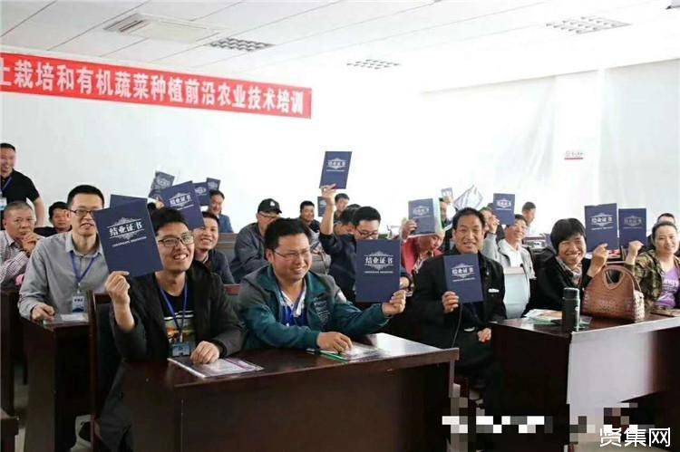 寿光有机蔬菜种植技术