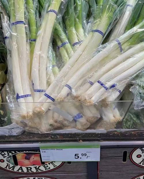 过冬葱的种植方法