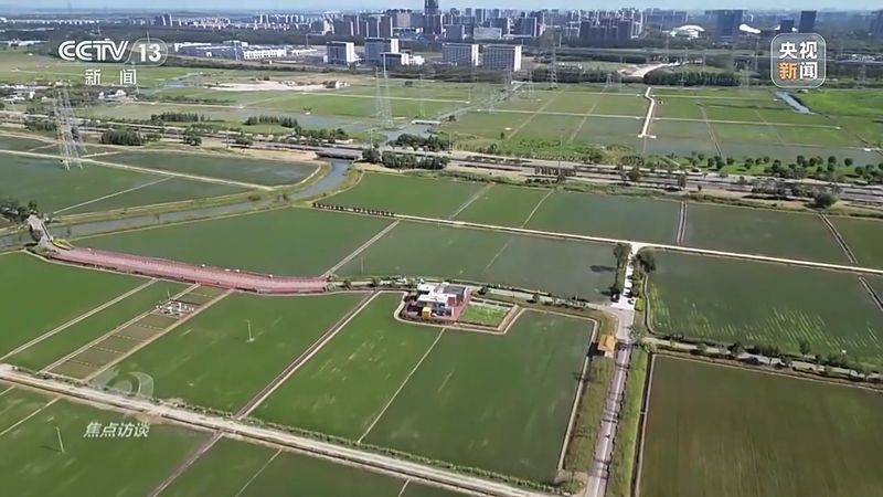 Jilin rice plantation technology video