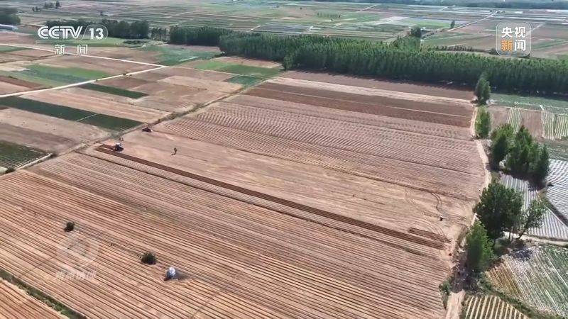 Jilin rice plantation technology video