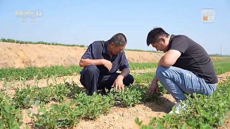 Jilin rice plantation technology video