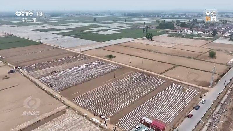 Jilin rice plantation technology video