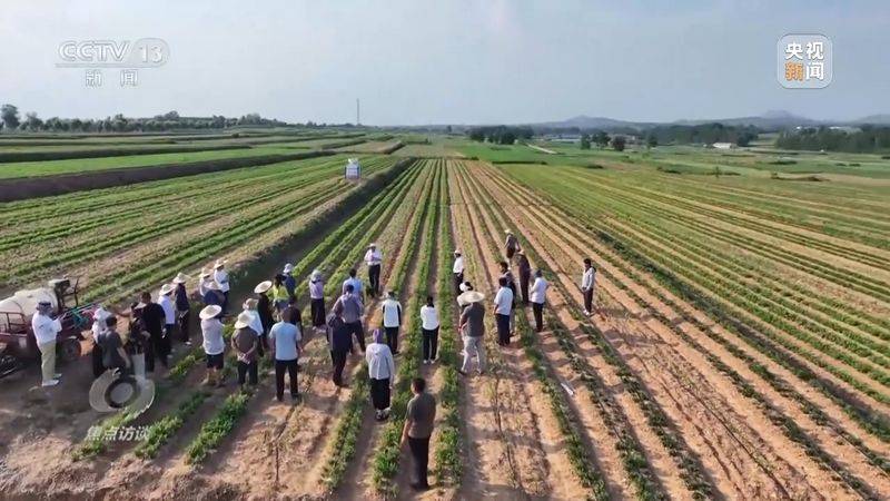 Jilin rice plantation technology video