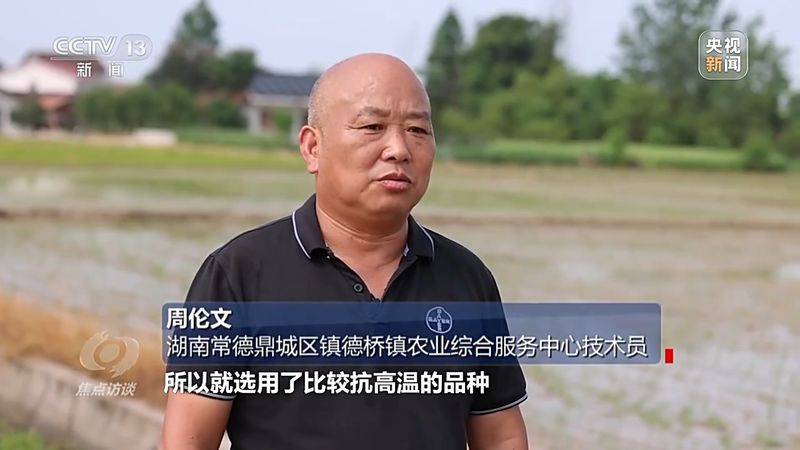 Jilin rice plantation technology video