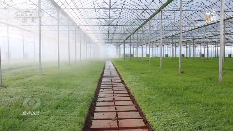 Jilin rice plantation technology video
