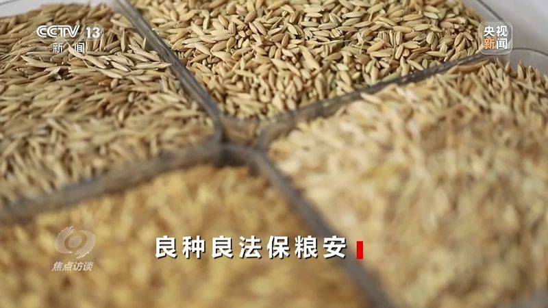 Jilin rice plantation technology video