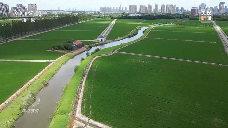 Jilin rice plantation technology video
