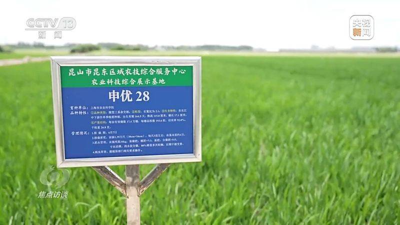 Jilin rice plantation technology video