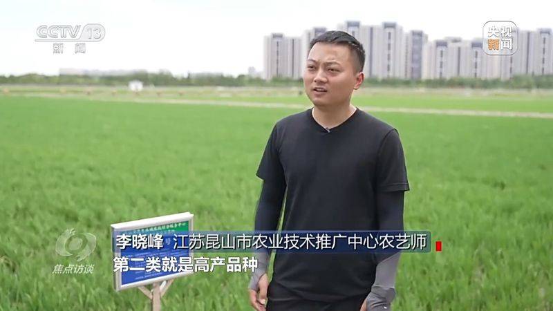 Jilin rice plantation technology video