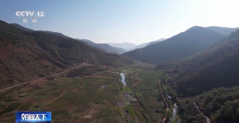 Paprika cultivation technology