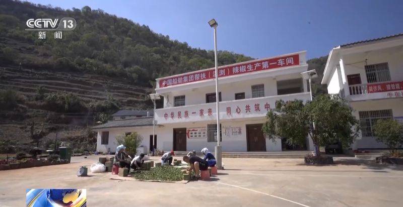 Paprika cultivation technology
