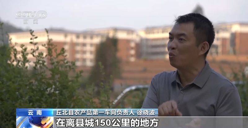 Paprika cultivation technology