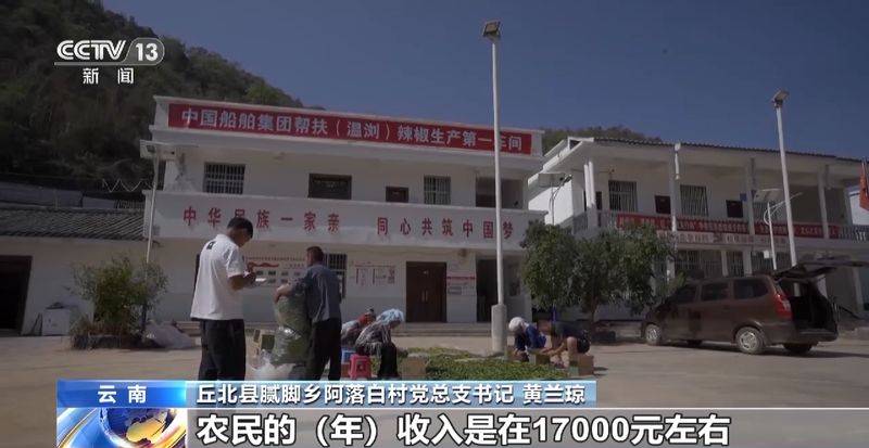 Paprika cultivation technology