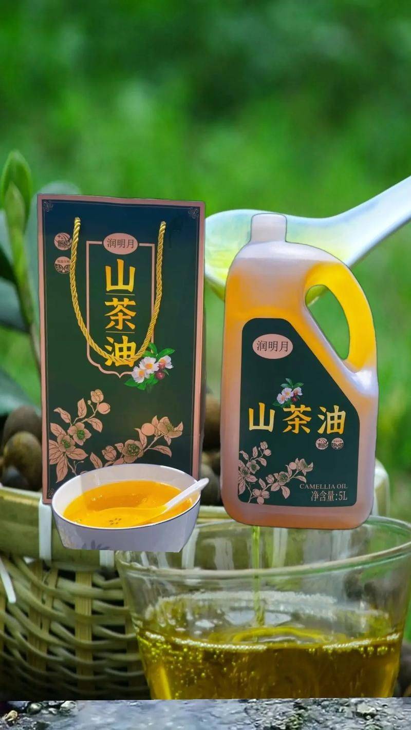 山油茶种植技术