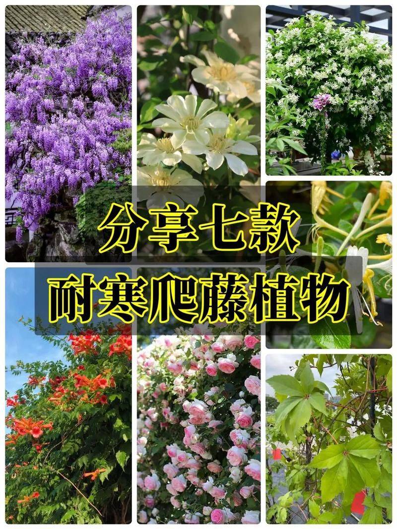 Time and method of planting snakes