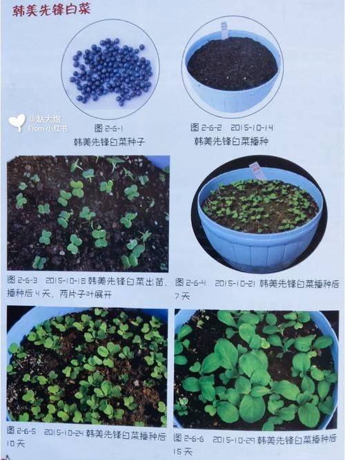 Plankting methods