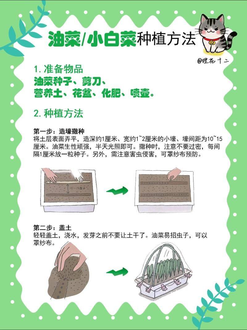 Plankting methods